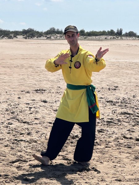 Mouvement de Tai Chi / Assistant Maître Ludovic Rey